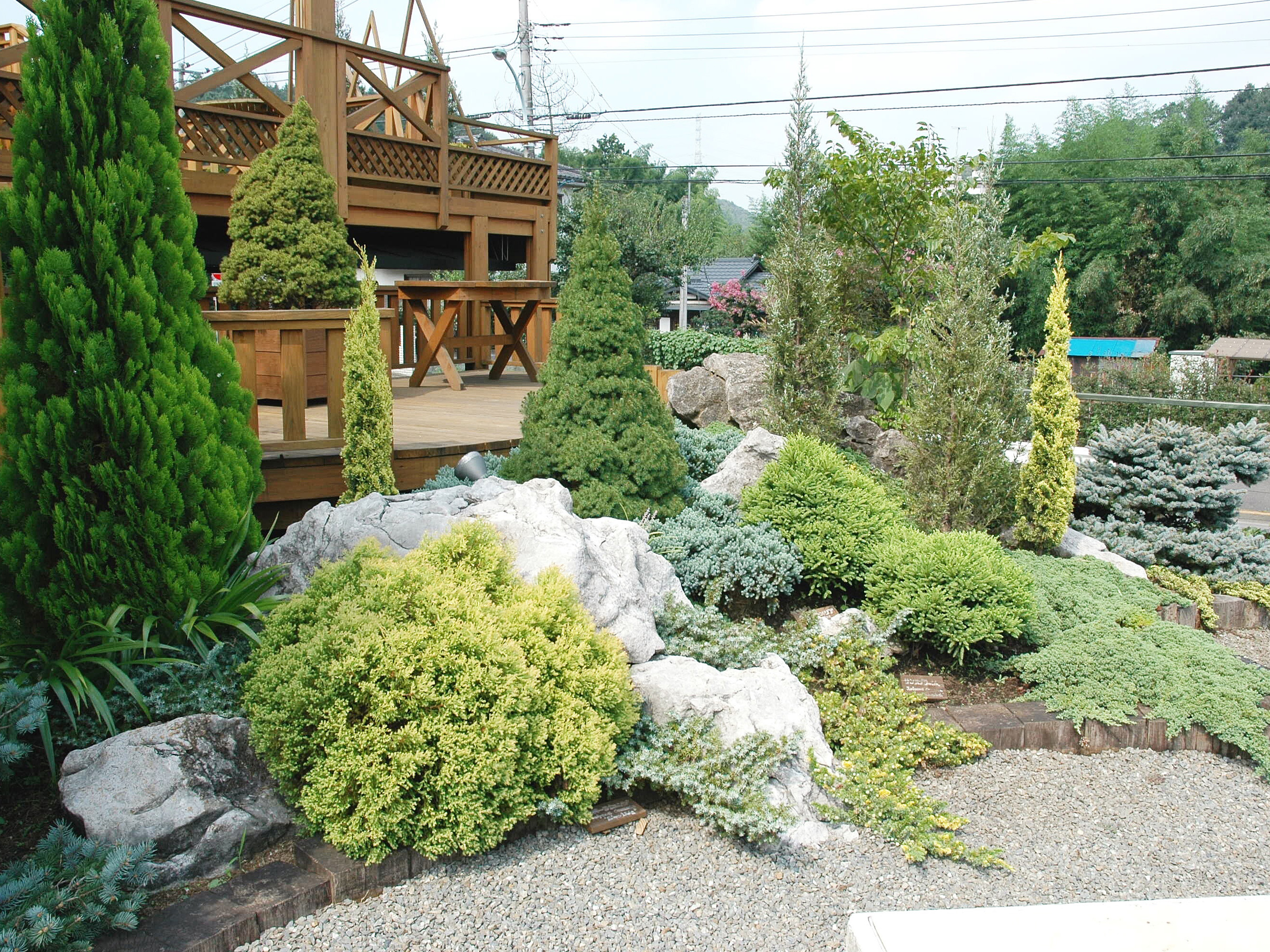 コーラルインテリアガーデン